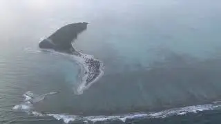 Natures Documentary: Wild Central America