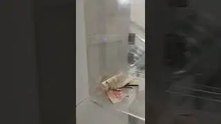 The biggest complaint in Pakistan is money. Money in Complaint Box