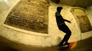 Catmotion New Video Clip
