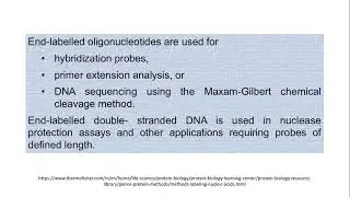 Radioisotope labelling Radiation Hazards