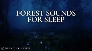 Night Forest River Sounds for Sleep | 8 Hours of Calm Nature Ambience 🌙