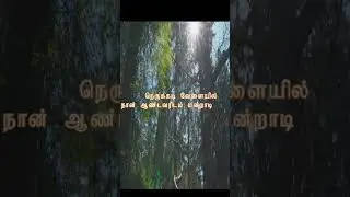 RESPONSORIAL PSALM  | APRIL 11, 2025 I PSALM   I VOICE: REV.DR.M.DOMINIC SJ., I EDIT & MUSIC: CYRIL