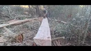 profissional