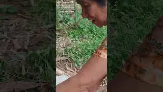 Un oh part 2 ng marilao Bulacan mgulam Nan Tayo ng Pato mga idol 
