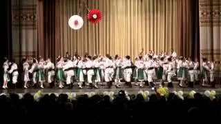 Ansamblul de muzica si dans popular 