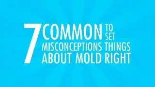 7 Common misconceptions about mold