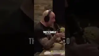 Joe Rogan reacts to Canelo going VEGAN🌱
