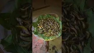 Tharu Food 🥘💐🫀 #plz_subscribe_my_channel #support #goviral #nepal