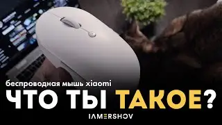 ТОПОВАЯ МЫШЬ ЗА КОПЕЙКИ?! Xiaomi Mi Mouse Silent
