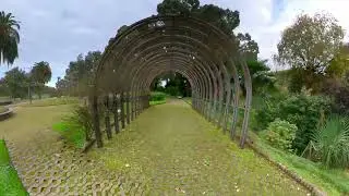 Batumi botanic garden 2022