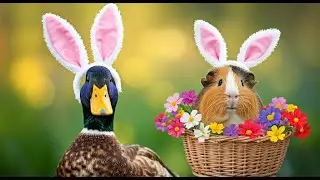 Springtime Adventure: Guinea Pig & Duck Go on a Picnic | Animals TV 4K