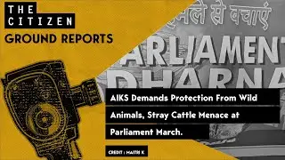 AIKS Demands Protection From Wild Animals, Stray Cattle Menace at Parliament March