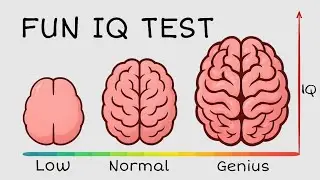 Only 9% Can Pass This IQ Test - Can You?