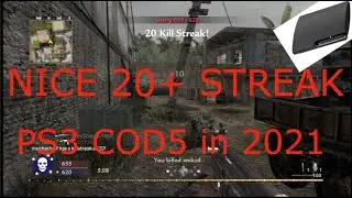 IS PS3 COD5 PLAYABLE IN 2021?!?!?