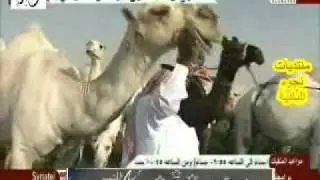 منقية عبود بن هريسان بن مقحص المقاطى