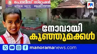 അശ്രദ്ധയില്‍ പൊലിയുന്ന കുരുന്നുകള്‍; വേണം ശ്രദ്ധയും ജാഗ്രതയും‌ ​| Children | Kannur