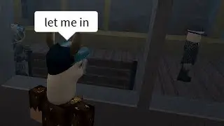 Chaos in The Streets (Roblox)