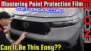 How To Install PPF On A Bumper 🚙 2024 Honda Accord: Paint Protection Film