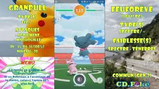 RAID FEUFOREVE 2* EN SOLO ! LE 100% ?! (Pok&eacute;mon Go)