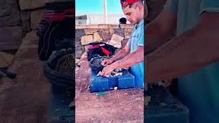 Piriapolis Fishing Port: Watch This Young Guy Expertly Prepare Bait on Fishing Nets!
