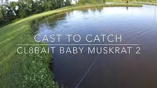 Cast to catch Cl8bait baby muskrat 2 Swimbait