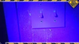 What's Hiding In Your Hotel Room?