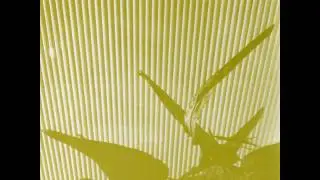 Contagious Orgasm - Ill-Treatment Endlessly