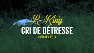 R-KING__CRI DE D&Eacute;TRESSE__(OFFICIAL VISUALIZER)