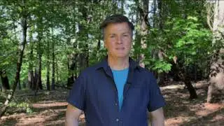 Nevada County Arts Council - FOREST⇌FIRE