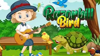 Magical Adventure | A Whimsical Bird Story for Kids | Story For Kids | Bed Time Story | Kids Studio