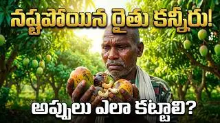 మామిడి జీడీ పంటలో నాకు నష్టమొచ్చినా || రైతుకు డబ్బులు అప్పుచేసి కట్టాల్సిందే chinnababu tribal vlogs