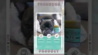 Organic Natural paw and nose Nourishing Moisturizing Repairing