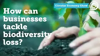 How can businesses tackle biodiversity loss? | The Circular Economy Show