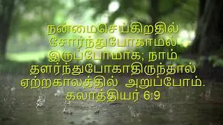 PATIENCE - Bible scriptures about Patience in Tamil