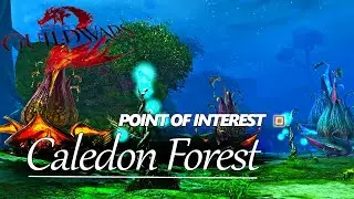 Guild Wars 2 - Caledon Forest: Point of Interest (20/20)