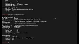 Running testworld Mina experience