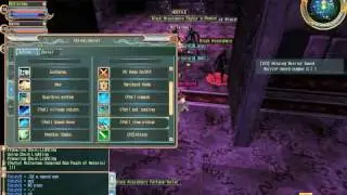 Last Chaos Elementalist and Templar in Chapel
