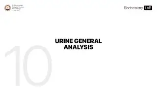 10. Urine General Analysis | Biochemistry LAB