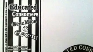 Educated Consumers - The Only Things (Remix)