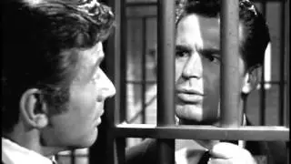 Maverick and Buckley