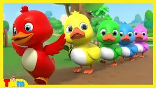Five Little Ducks + More Nursery Rhymes and Kids Songs | Tim Time