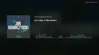 Ant's quip, a Flip memory