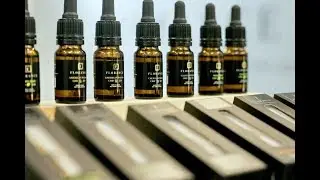 copaiba oil vs cbd oil