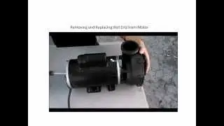How To Replace Wetend from Motor and Install New Wetend