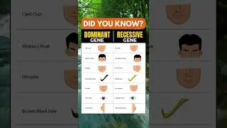 Dominant gene vs Recessive gene