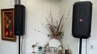TurboSound iP300 vs JBL Partybox110  How does a Party Speaker compare to a PA Speaker Similar Price?