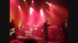 love shop - love goes on forever - live 2009