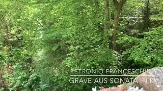 Altenberger Domorgel: Franceschini, Sonata in D - Dur (Grave)