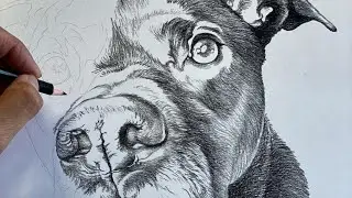 P1: How to Draw a Dog | Delo James