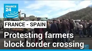 Protesting French, Spanish farmers block border crossing &bull; FRANCE 24 English